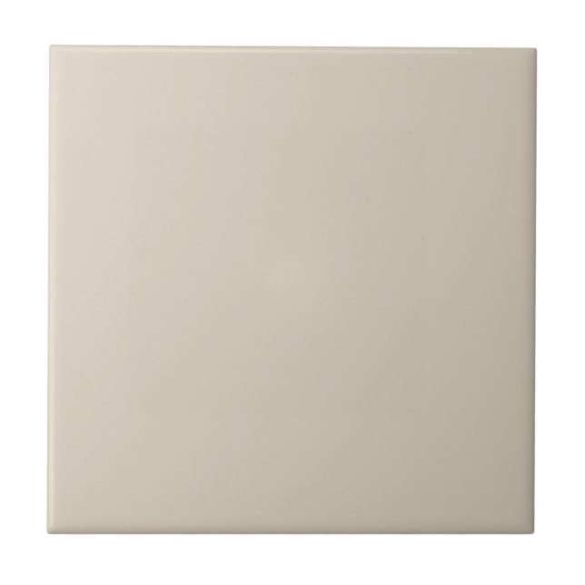 Tan Canvas Square Kitchen and Bathroom Ceramic Tile (Front)