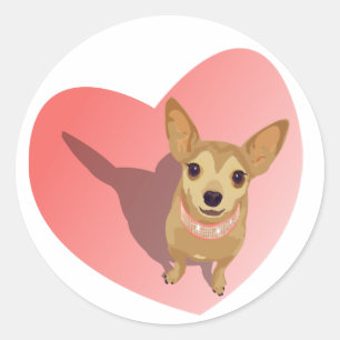 Tan Chihuahua in diamond pink collar in heart Classic Round Sticker