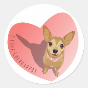 Tan Chihuahua in diamond pink collar in heart Classic Round Sticker
