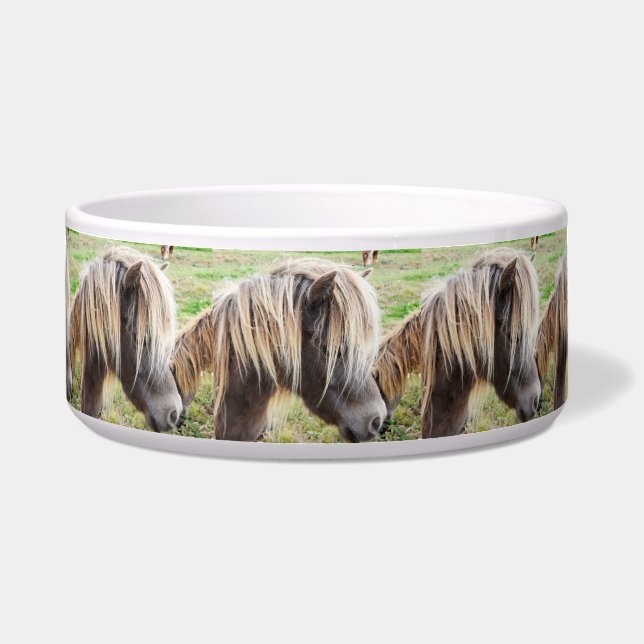 Tan Coloured Shetland Pony, (Front)