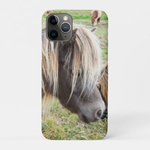 Tan Coloured Shetland Pony, iPhone 11 Pro Case