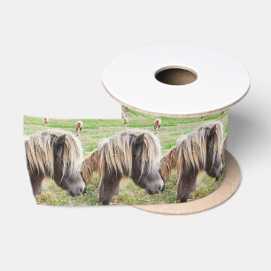 Tan Coloured Shetland Pony, Satin Ribbon
