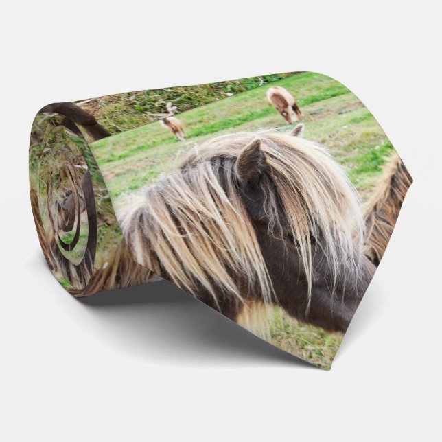 Tan Coloured Shetland Pony, Tie (Rolled)