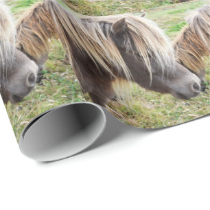 Tan Coloured Shetland Pony, Wrapping Paper