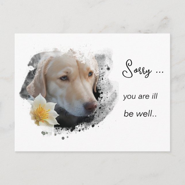 *~ Tan Dog AP61 Get Well Sad  Flower  Postcard (Front)