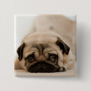 Tan Female Pug 15 Cm Square Badge