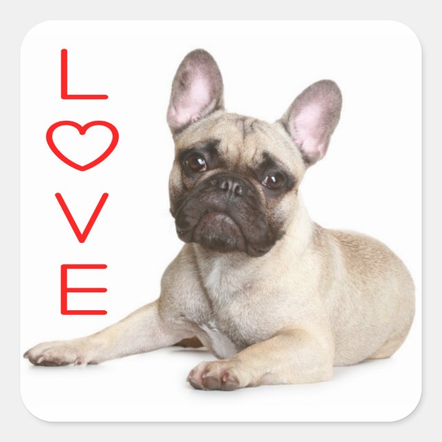 Tan French Bulldog Puppy Dog Red Love Square Sticker (Front)