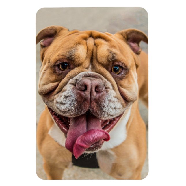 Tan Happy Dog Photo  Magnet (Vertical)