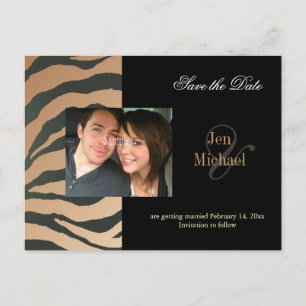 Tan  zebra Save the Date Photo postcards, Announcement Postcard