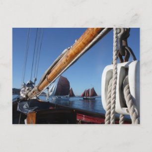 Tanbark Sails of a WA Wooden Boat Festival Postcard