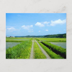 Tanbo Road Postcard