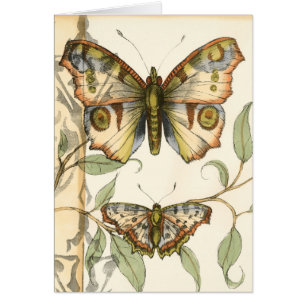 Tandem Butterflies Over Green Leaves