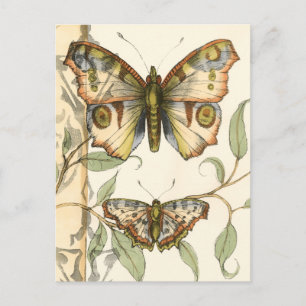 Tandem Butterflies Over Green Leaves Postcard