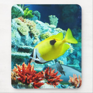 Tang Mouse Pad