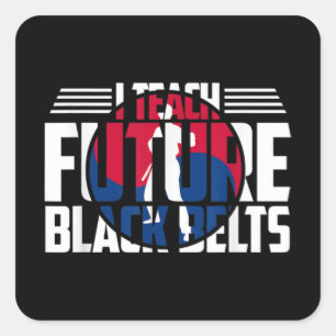 Tang Soo Do Instructor Martial Arts Teacher Korean Square Sticker