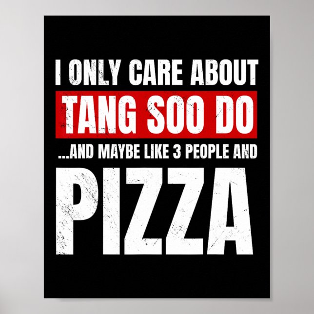 Tang Soo Do Sparring Martial Artist Karate Master  Poster (Front)