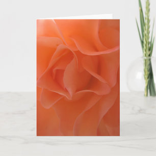 Tangerine Dream (1) Greeting Cards