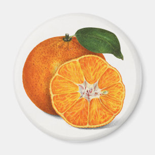 Tangerine Magnet