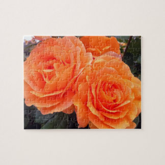 Tangerine Roses, Jigsaw Puzzle, 8 by 10 in, 110 pc Puzzle