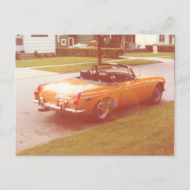 Tangerine Speedo Postcard (Front)