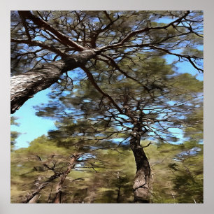 Tangled Branches Of Pine Trees Bizarre Perspective Poster