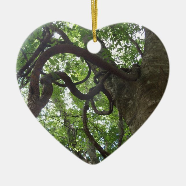 tangled old grapevines in tree ceramic ornament (Front)