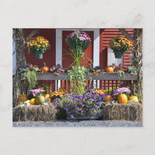 Tanglewood Fall Beauty - Postcard