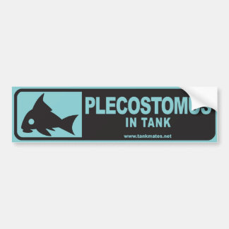 Tank Mates bumper sticker series 1-Plecostomus B