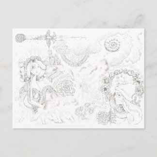 tansy banditas postcard