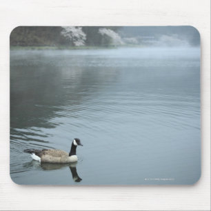Tanuki-ko, Lake Tanuki Mouse Pad