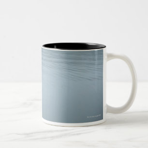 Tanuki-ko, Lake Tanuki Two-Tone Coffee Mug