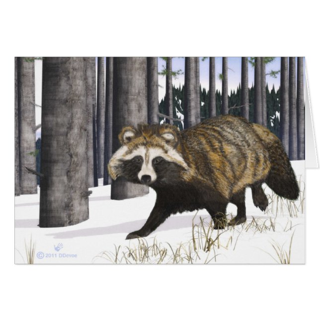 Tanuki - Racoon Dog (Front Horizontal)