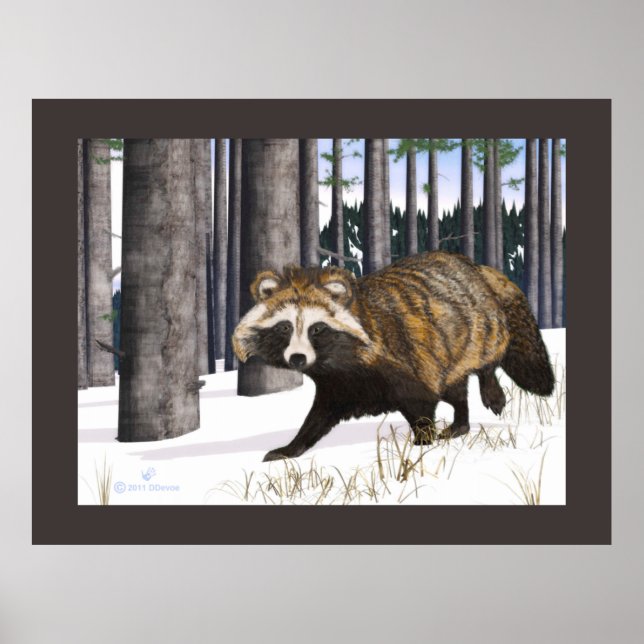 Tanuki - Racoon Dog Poster (Front)