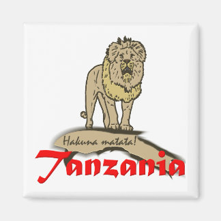 Tanzania Goodies Magnet