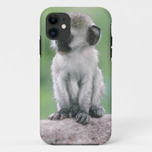 Tanzania, Ngorogoro Crater. Close-up of wild iPhone 11 Case