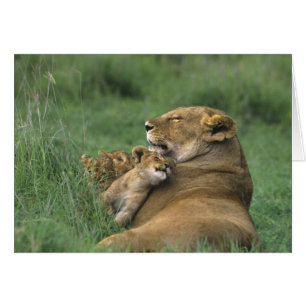 Tanzania, Ngorongoro Crater. African lion mother
