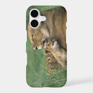 Tanzania, Ngorongoro Crater. African lion mother