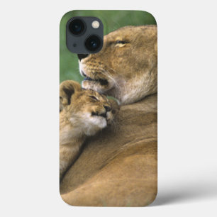 Tanzania, Ngorongoro Crater. African lion mother iPhone 13 Case