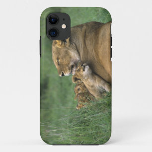 Tanzania, Ngorongoro Crater. African lion mother iPhone 11 Case
