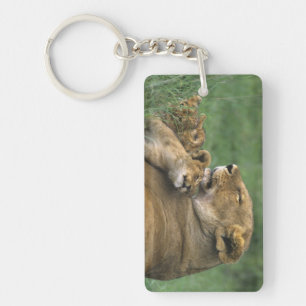 Tanzania, Ngorongoro Crater. African lion mother Key Ring