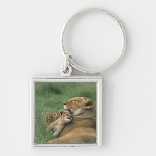 Tanzania, Ngorongoro Crater. African lion mother Key Ring