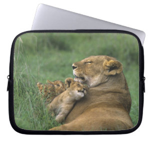Tanzania, Ngorongoro Crater. African lion mother Laptop Sleeve