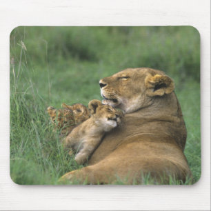 Tanzania, Ngorongoro Crater. African lion mother Mouse Pad