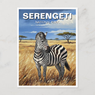 Tanzania Serengeti National Park Zebra Postcard