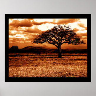 Tanzanian Safari Poster