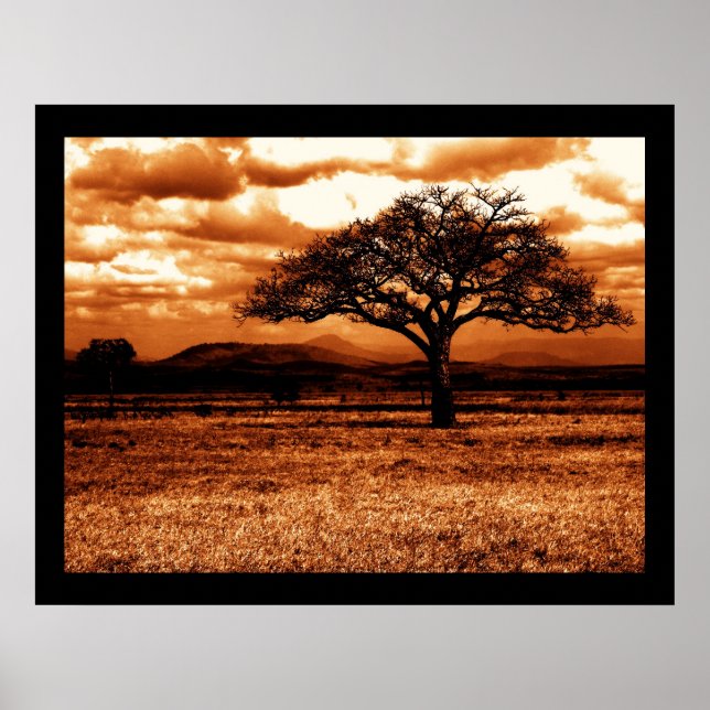 Tanzanian Safari Poster (Front)