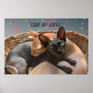 Tao of Love - Two Sphynx Cats Personalised Poster