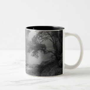Tao-Te-Ching No.5 /Mug Two-Tone Coffee Mug