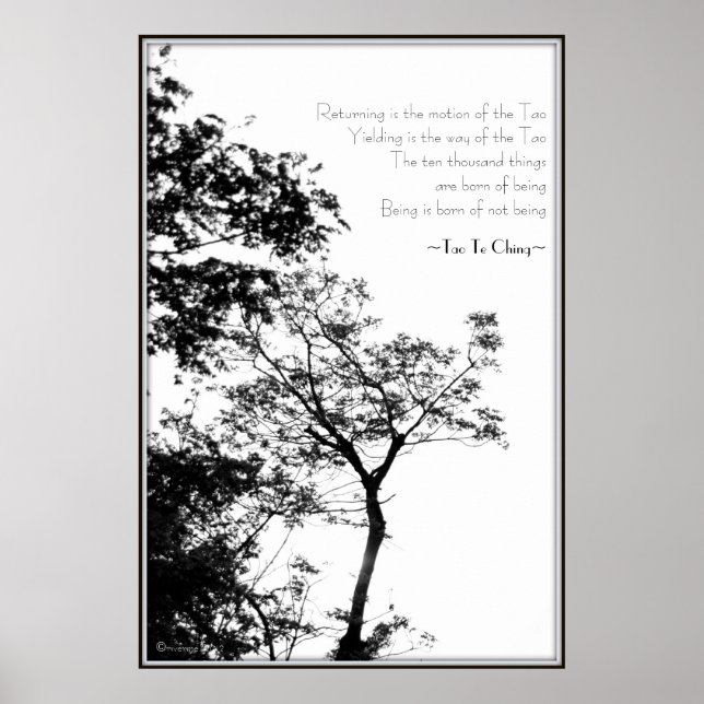 Tao Te Ching/Sunset Tree B&W Photography Poster (Front)