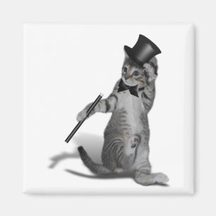 Tap Dancing Cat Magnet